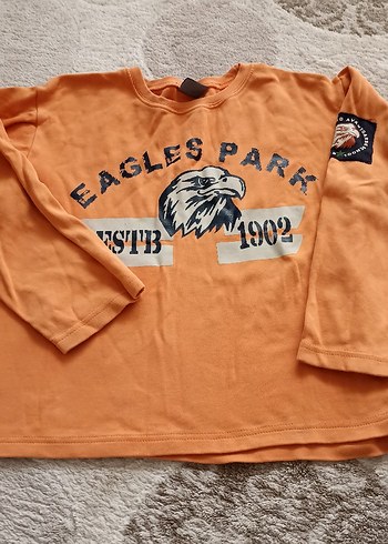 Kahverengi Baskılı Erkek Çocuk Sweatshirt - Görsel 2