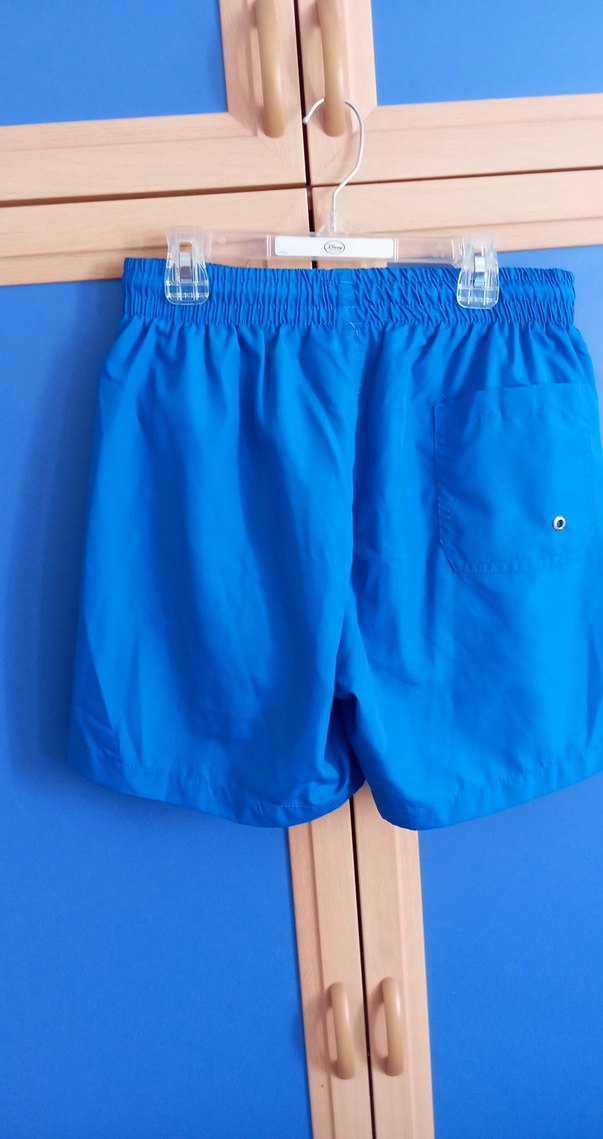 Parlak Mavi Erkek Şort Mayo - Görsel 4