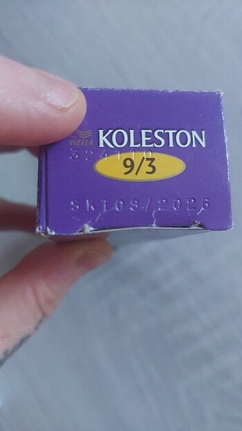  Beden Renk Koleston boya