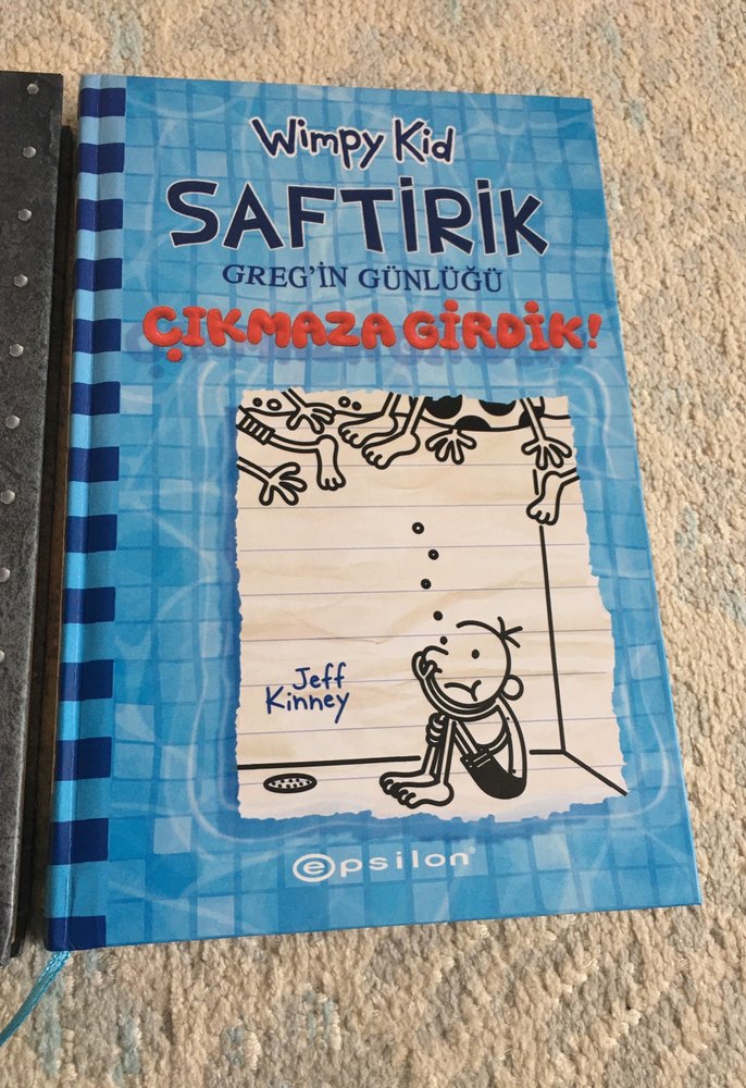Saftirik Greg'in Günlüğü 2 Kitap Seti 14 15 - Görsel 3