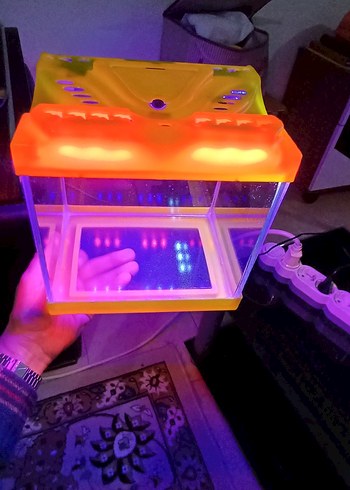 Turuncu Sarı Renkli Küçük Mini Işıklı Akvaryum - Görsel 4