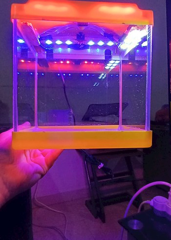 Turuncu Sarı Renkli Küçük Mini Işıklı Akvaryum - Görsel 2