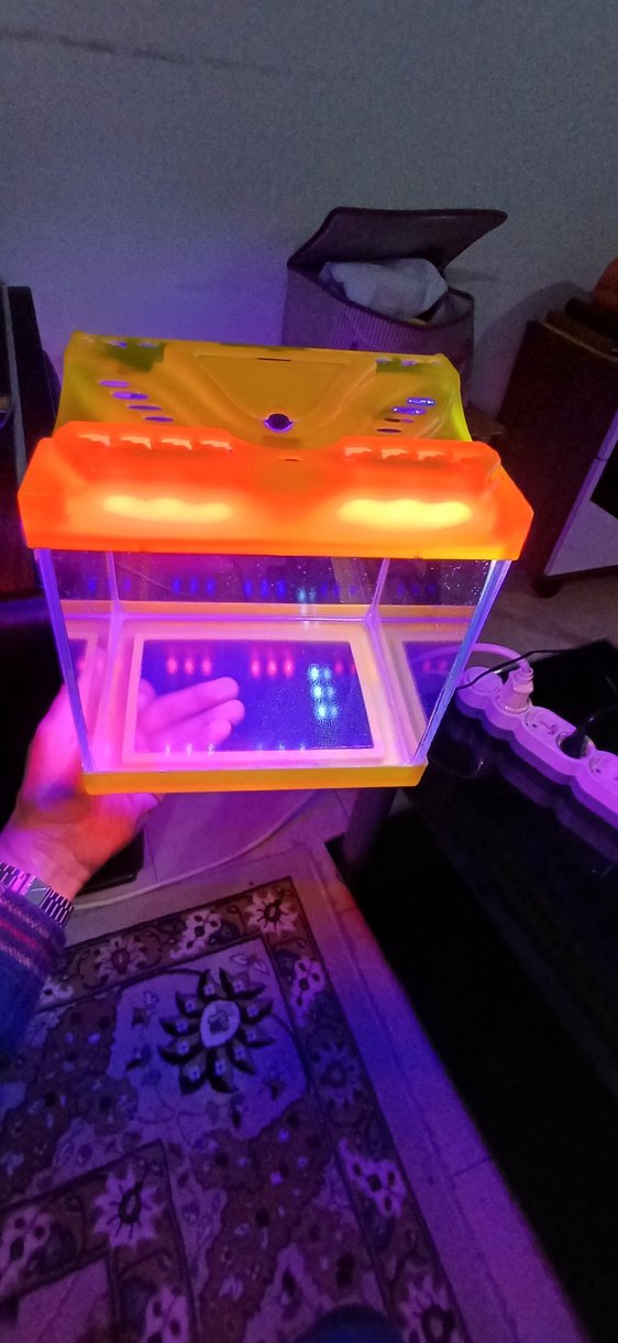 Turuncu Sarı Renkli Küçük Mini Işıklı Akvaryum - Görsel 4