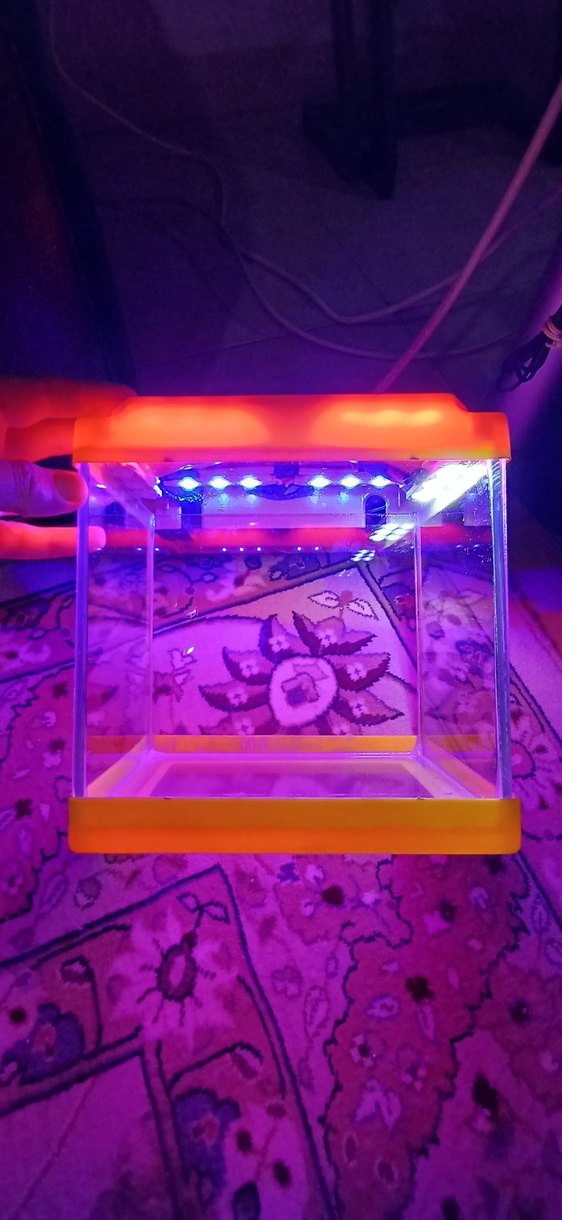 Turuncu Sarı Renkli Küçük Mini Işıklı Akvaryum - Görsel 3