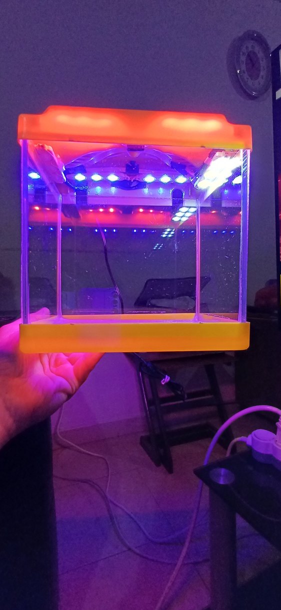 Turuncu Sarı Renkli Küçük Mini Işıklı Akvaryum - Görsel 2