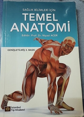 Temel Anatomi