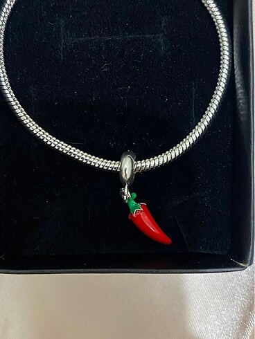 Diğer Acı biber pandora charm