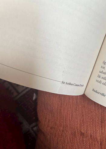 Sherlock Holmes Baskerville'lerin Köpeği - Görsel 7