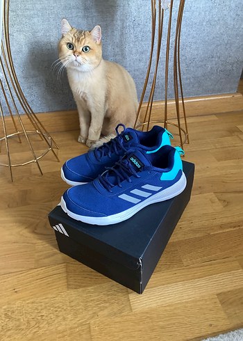 Mavi Adidas Spor Ayakkabı, Bağcıklı, Düz Taban