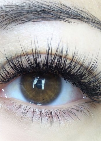 İpek kirpik - Görsel 6