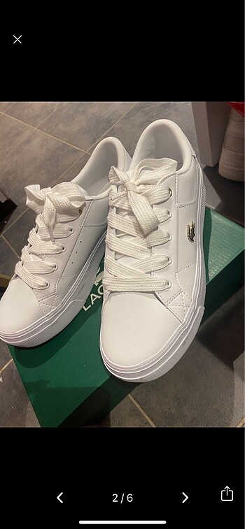 Lacoste Lacoste