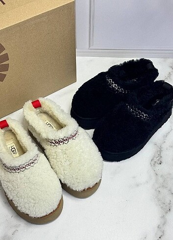 Ugg Tazz bird