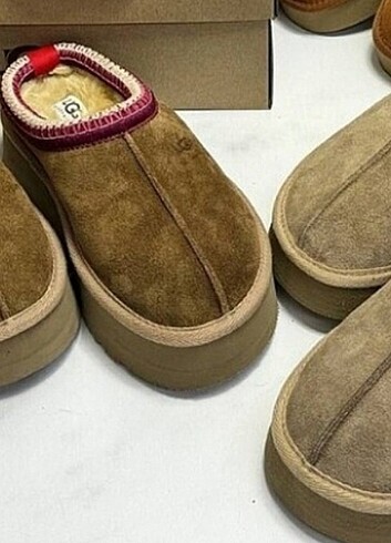 38 Beden Ugg bot