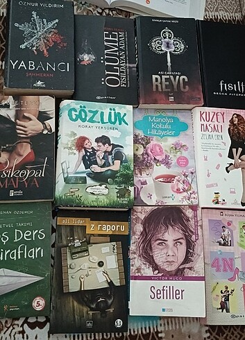  Beden Renk Roman