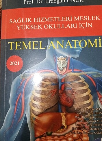 TEMEL ANATOMİ 