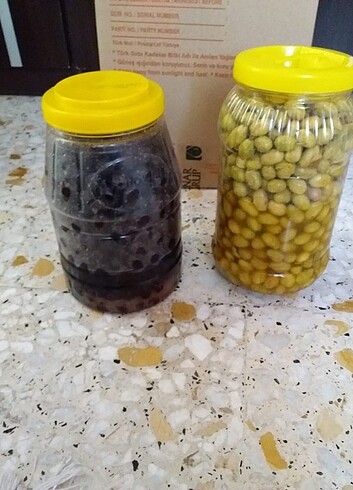 zeytin