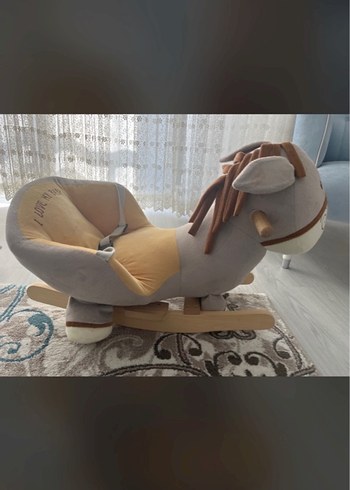 Beden Renk Sallanan Eşek