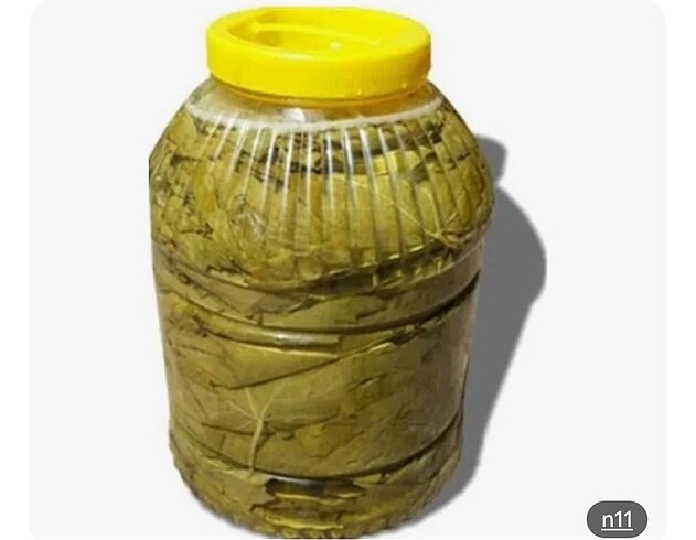Salamura yaprak Manisa yaprağı taze 5 kilo