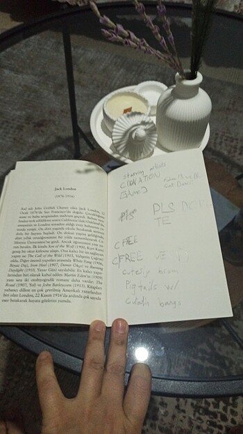  Beden Renk Kitap 