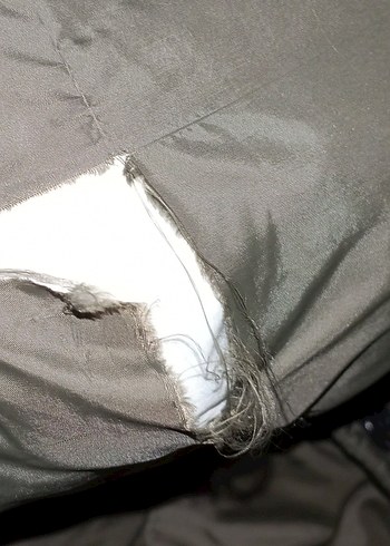 Zara Çocuk Moby - Görsel 3