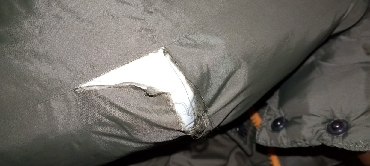 Zara Çocuk Moby - Görsel 3