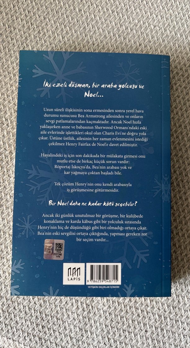 Kar Yağarken - Beth Moran - Görsel 3