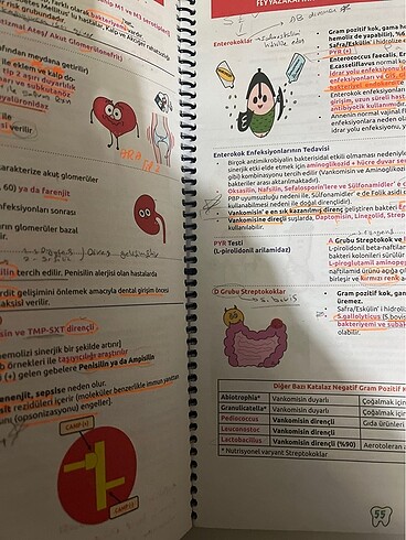 Duskademi mikrobiyoloji