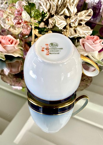 Hutschenreuther Olivia 63 Tekli Fincan - Görsel 9