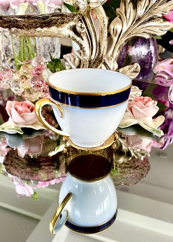 Hutschenreuther Olivia 63 Tekli Fincan - Görsel 3