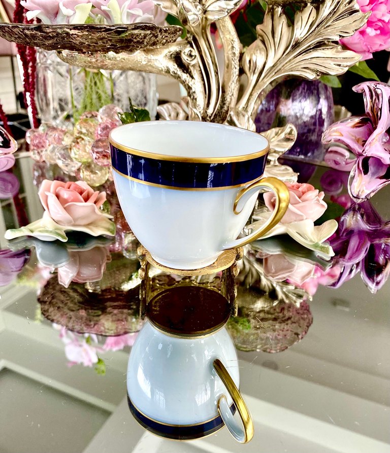 Hutschenreuther Olivia 63 Tekli Fincan - Görsel 2