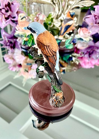 Eaglemoss Red-backed Shrike Kuş - Görsel 2