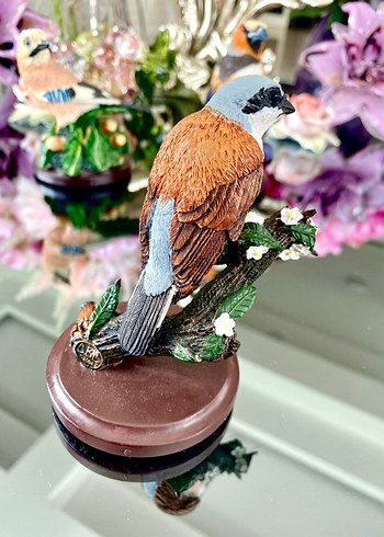 Eaglemoss Red-backed Shrike Kuş - Görsel 6