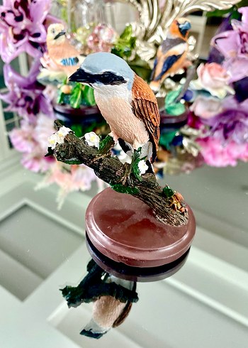 Eaglemoss Red-backed Shrike Kuş - Görsel 3