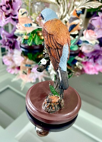 Eaglemoss Red-backed Shrike Kuş - Görsel 8