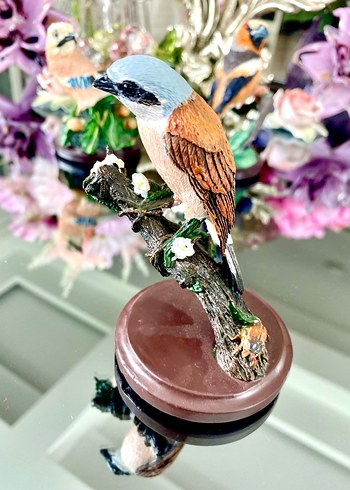 Eaglemoss Red-backed Shrike Kuş - Görsel 7