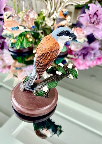 Eaglemoss Red-backed Shrike Kuş - Görsel 5