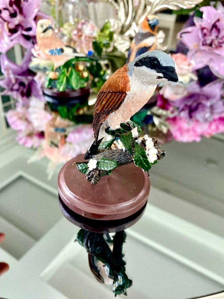 Eaglemoss Red-backed Shrike Kuş - Görsel 4