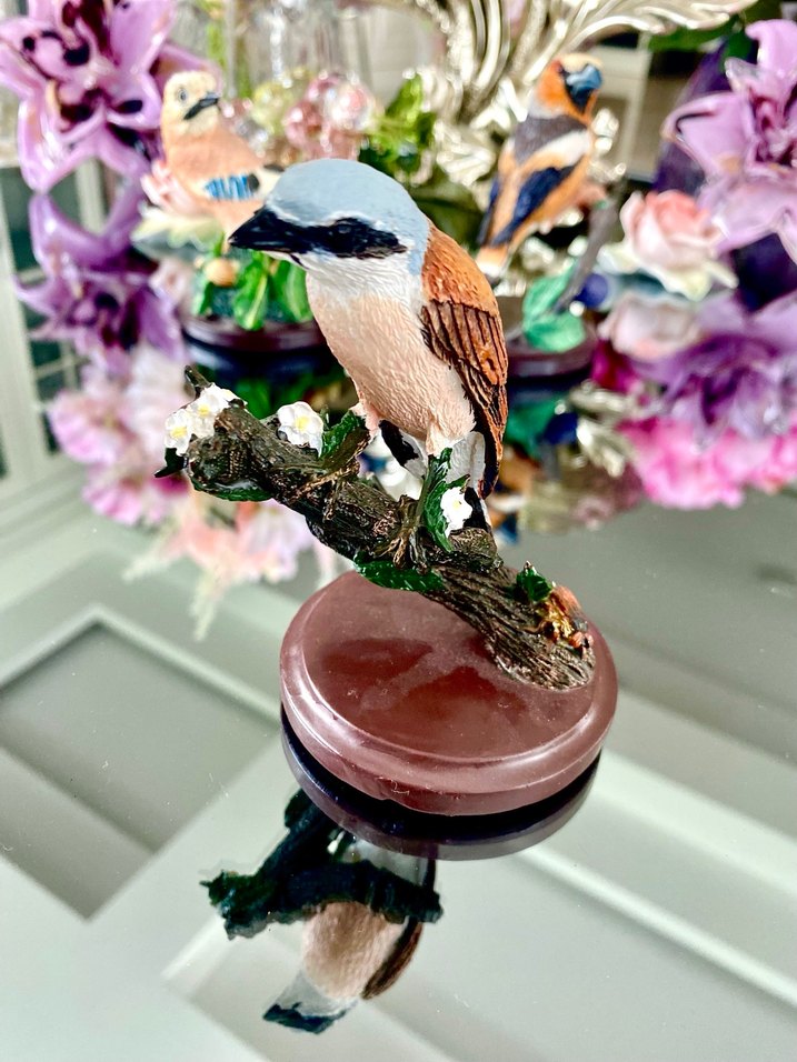 Eaglemoss Red-backed Shrike Kuş - Görsel 3