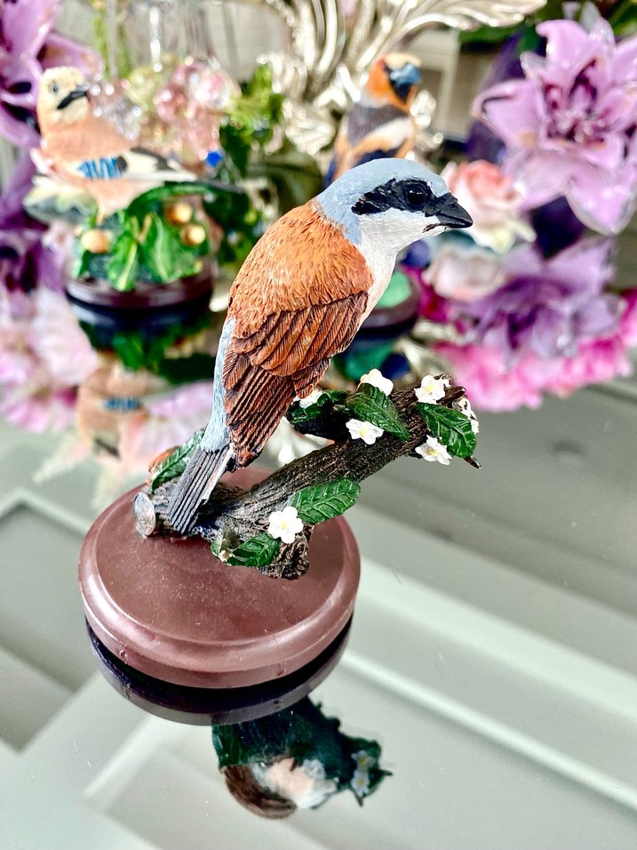 Eaglemoss Red-backed Shrike Kuş - Görsel 5