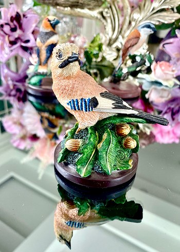 Eaglemoss CBC Alakarga (The Jay) Biblo - Görsel 8