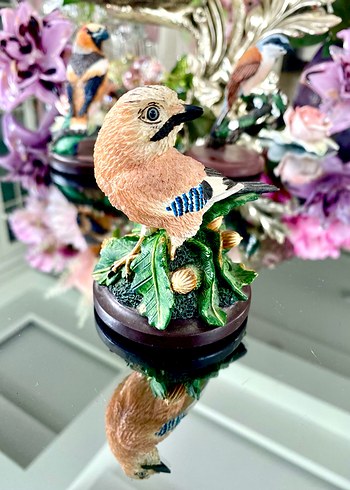 Eaglemoss CBC Alakarga (The Jay) Biblo - Görsel 7