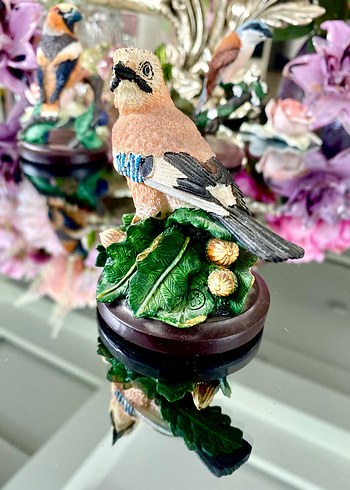 Eaglemoss CBC Alakarga (The Jay) Biblo - Görsel 2