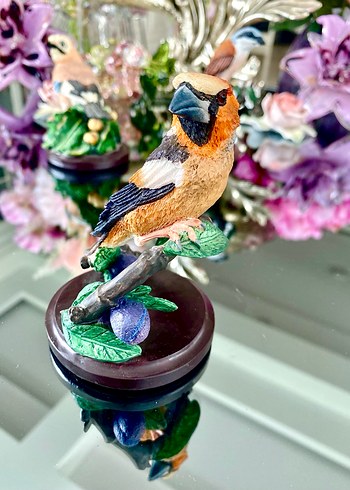 Eaglemoss HawfinchBüyük Gaga İspinozu - Görsel 6