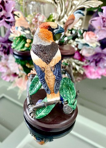 Eaglemoss HawfinchBüyük Gaga İspinozu - Görsel 9