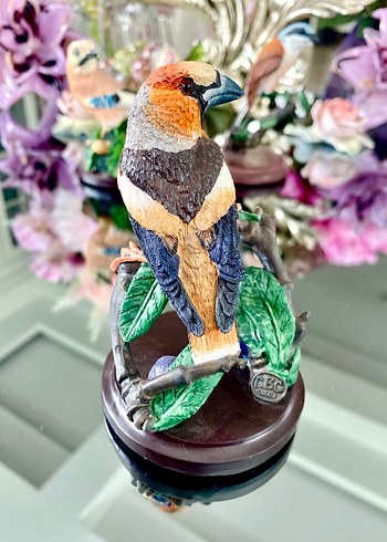 Eaglemoss HawfinchBüyük Gaga İspinozu - Görsel 2