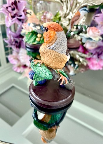 Eaglemoss HawfinchBüyük Gaga İspinozu - Görsel 4