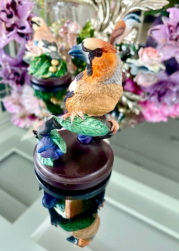 Eaglemoss HawfinchBüyük Gaga İspinozu - Görsel 5