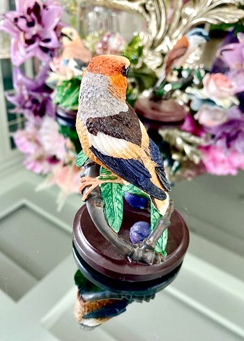 Eaglemoss HawfinchBüyük Gaga İspinozu - Görsel 3