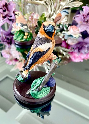 Eaglemoss HawfinchBüyük Gaga İspinozu - Görsel 7