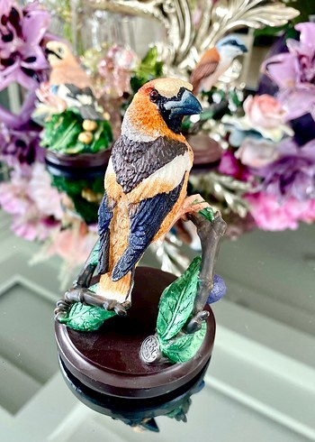 Eaglemoss HawfinchBüyük Gaga İspinozu - Görsel 8